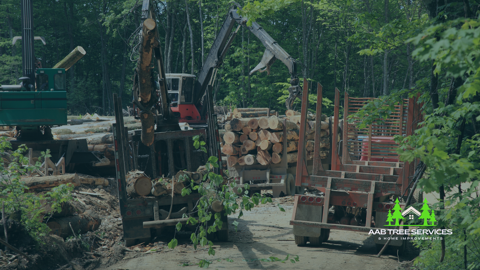 Logging Work